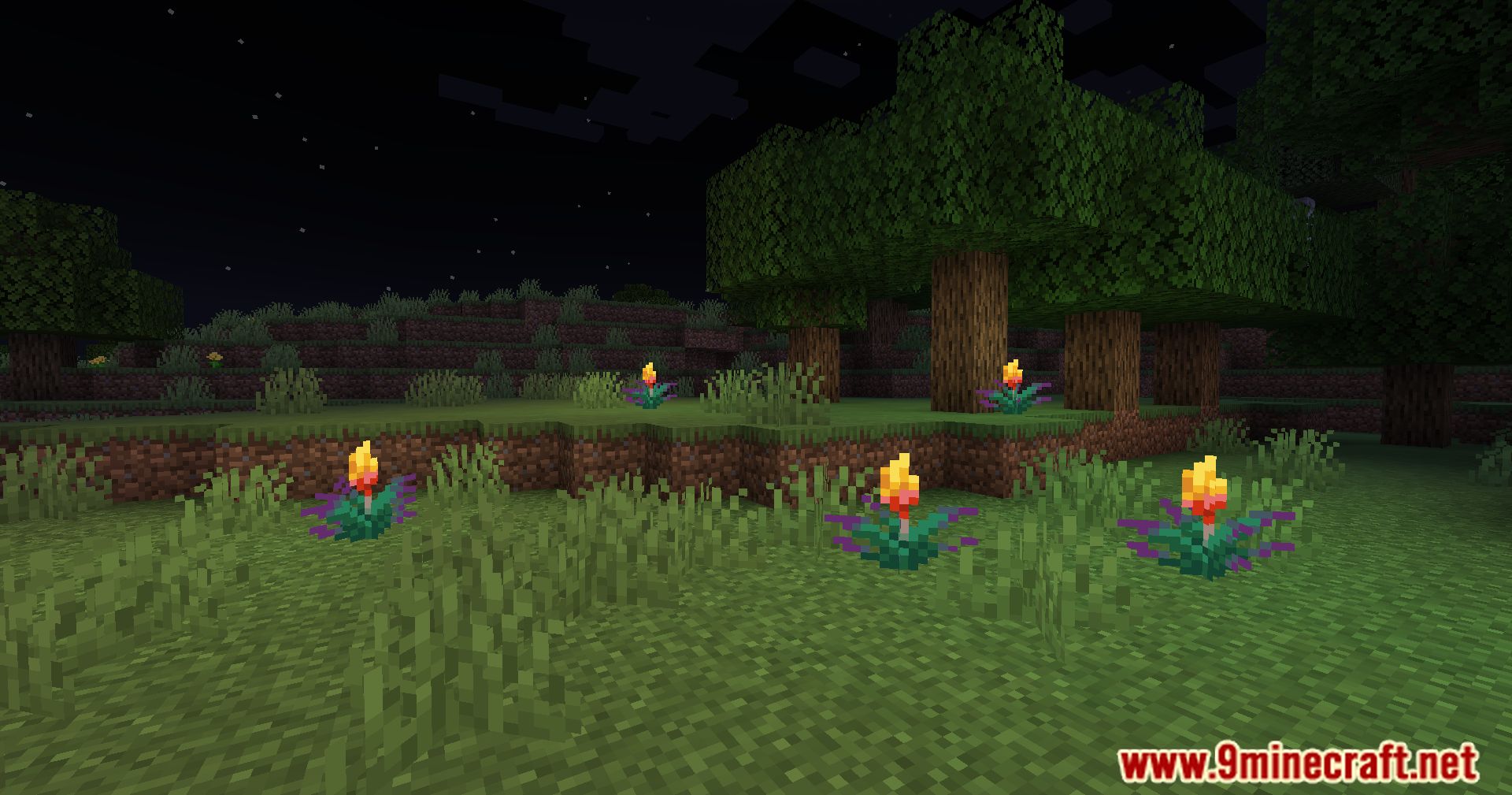 description_2 Antorcha brillante Flor Mod - iluminación de flores