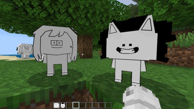 description_7 Шоу мокки.