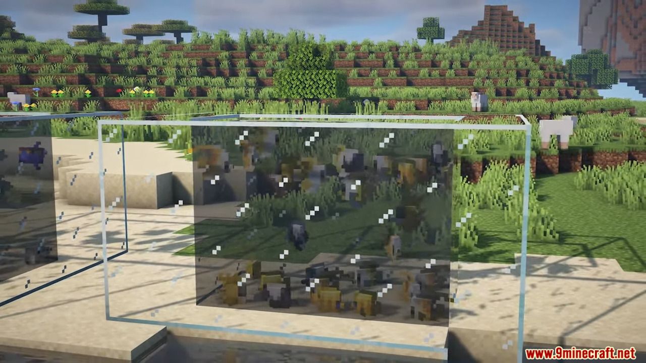 description_3 Rainbow Reef Mod (1.20.1) - 79+ dazzling fish