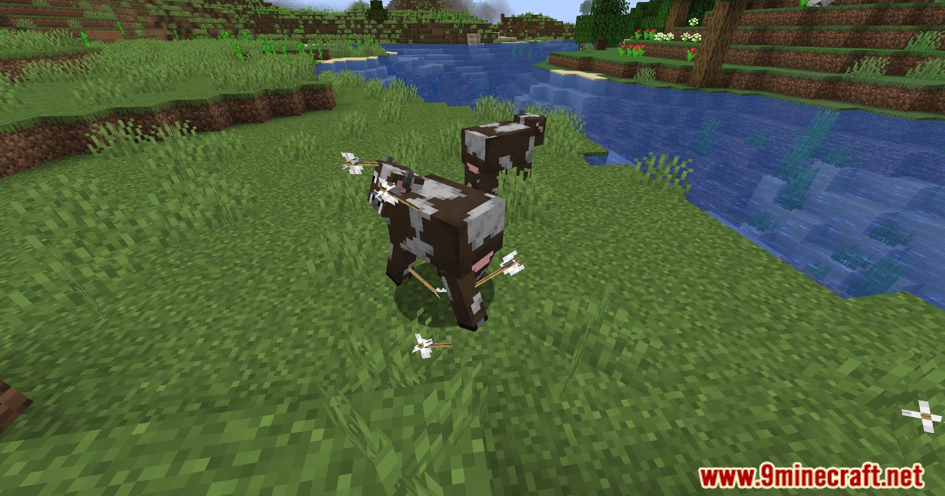 image 4 for Pierce Arrow Mod (1.20.4) - Переработан эффект стрел, улучшен реализм боя.