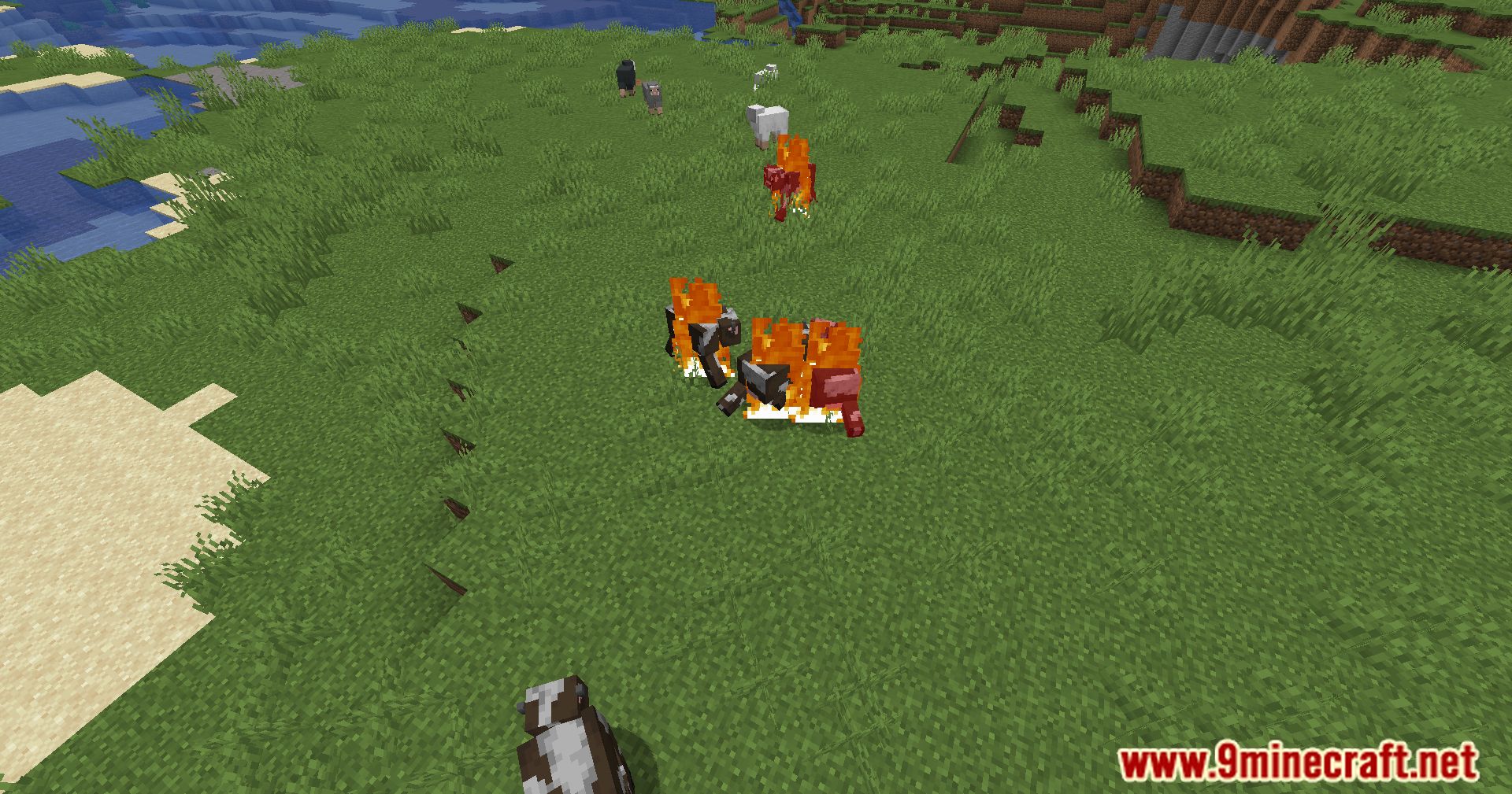 image 10 for Burn In The Sun Mod (1.20.4) - fixed effects of sunlight