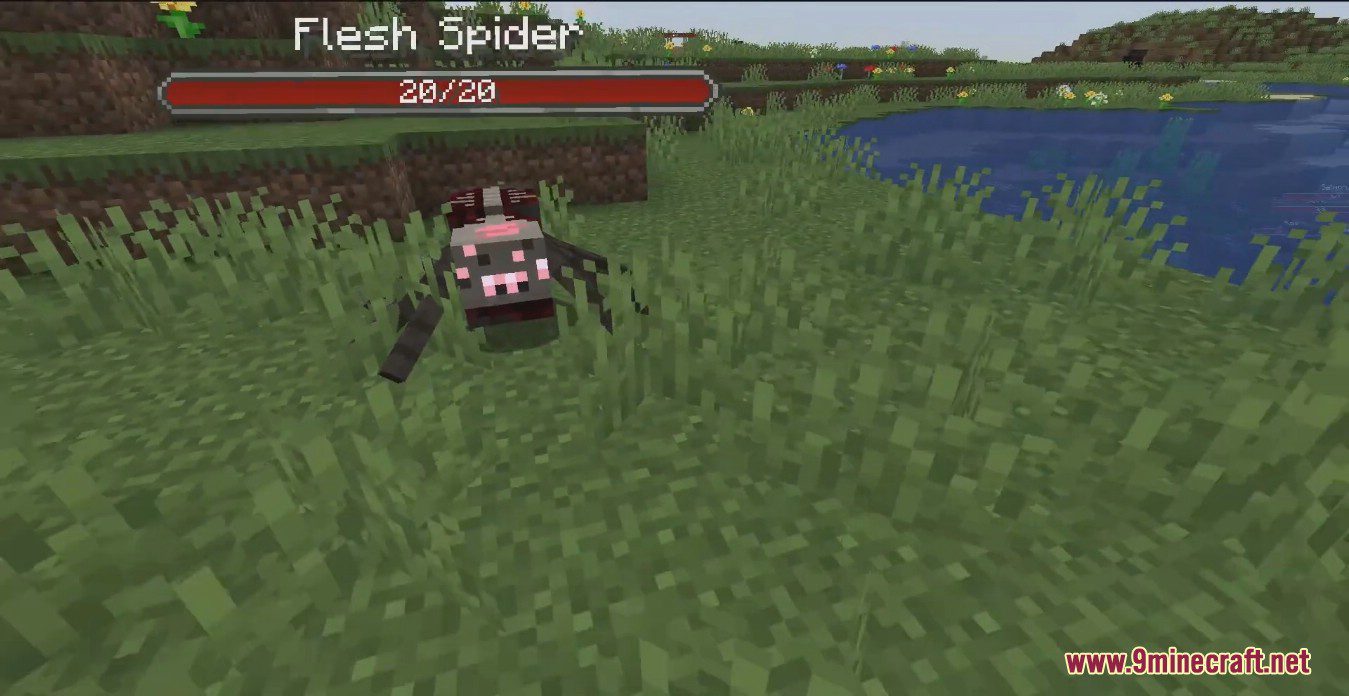 description_6 Arachnid Rancher Mod 1.19.2 - As aranhas caseiras inofensivas mais bonitas