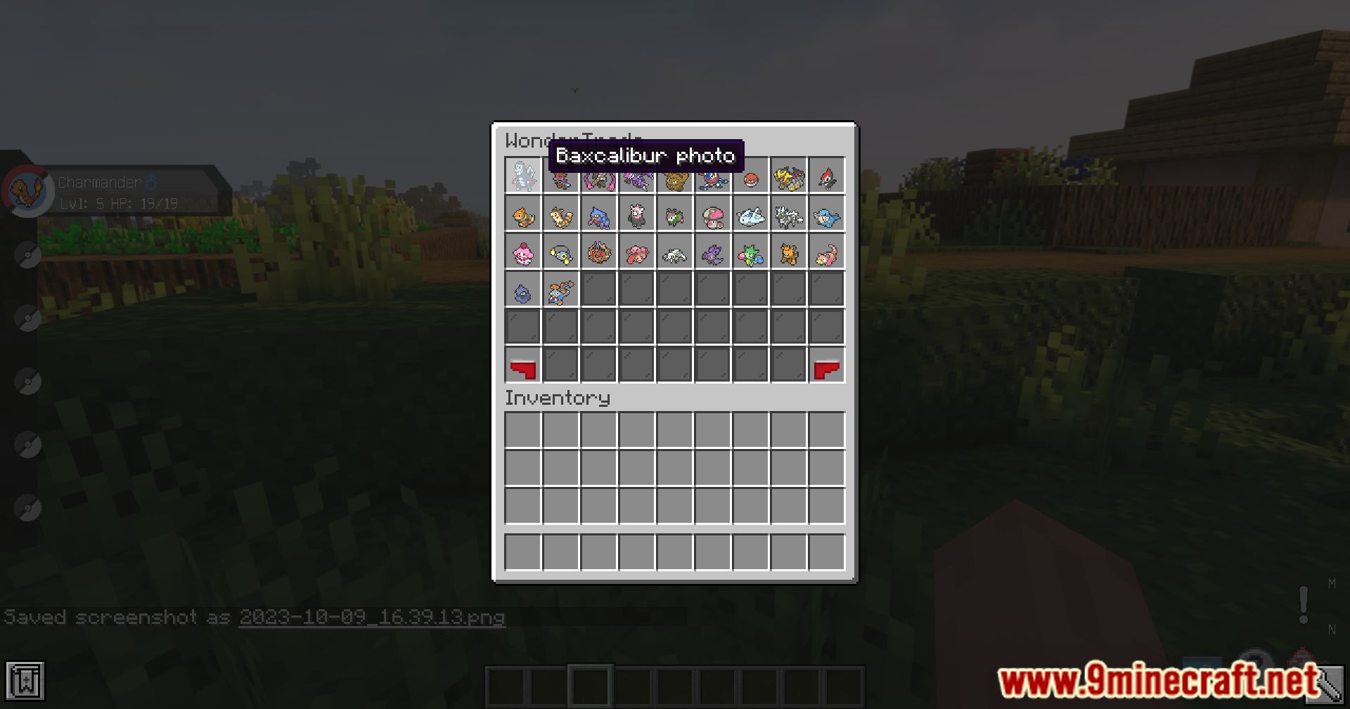 description_4 Wonder Trade Mod 1.16.5 - Погрузитесь в Wonder Trade для приключений Pixelmon!