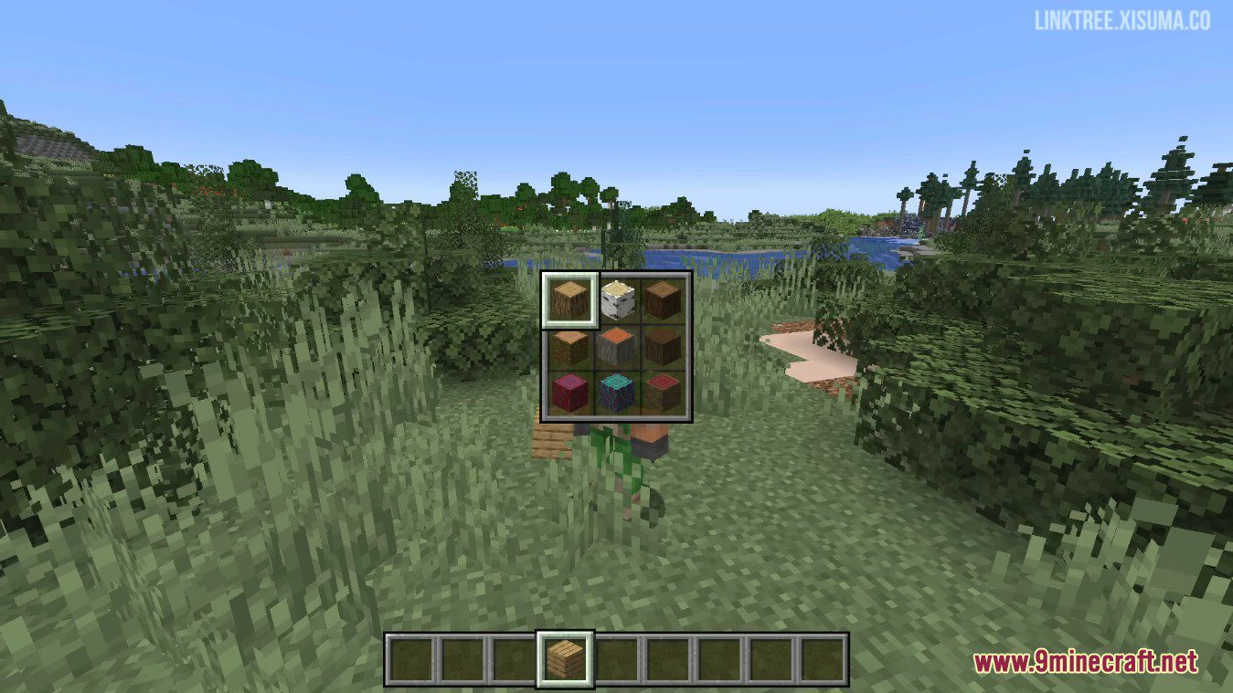 description_7 ItemSwapper Mod (1.20.4) - create your own palette for changing items