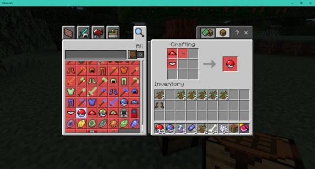 description_27 Pokébedrock