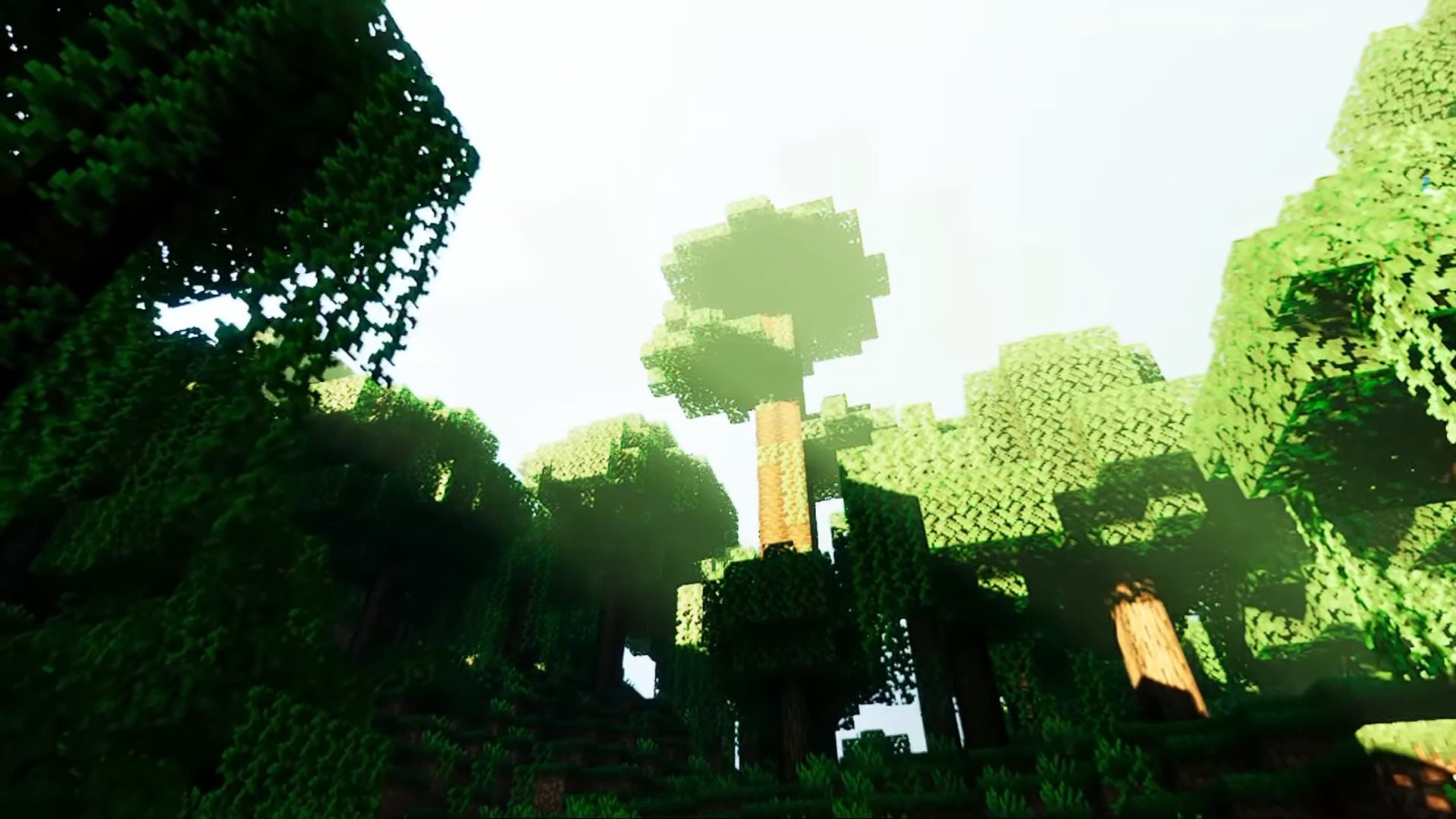 image 7 for Дефектный шейдер клубники (1.20) - MCPE/Bedrock