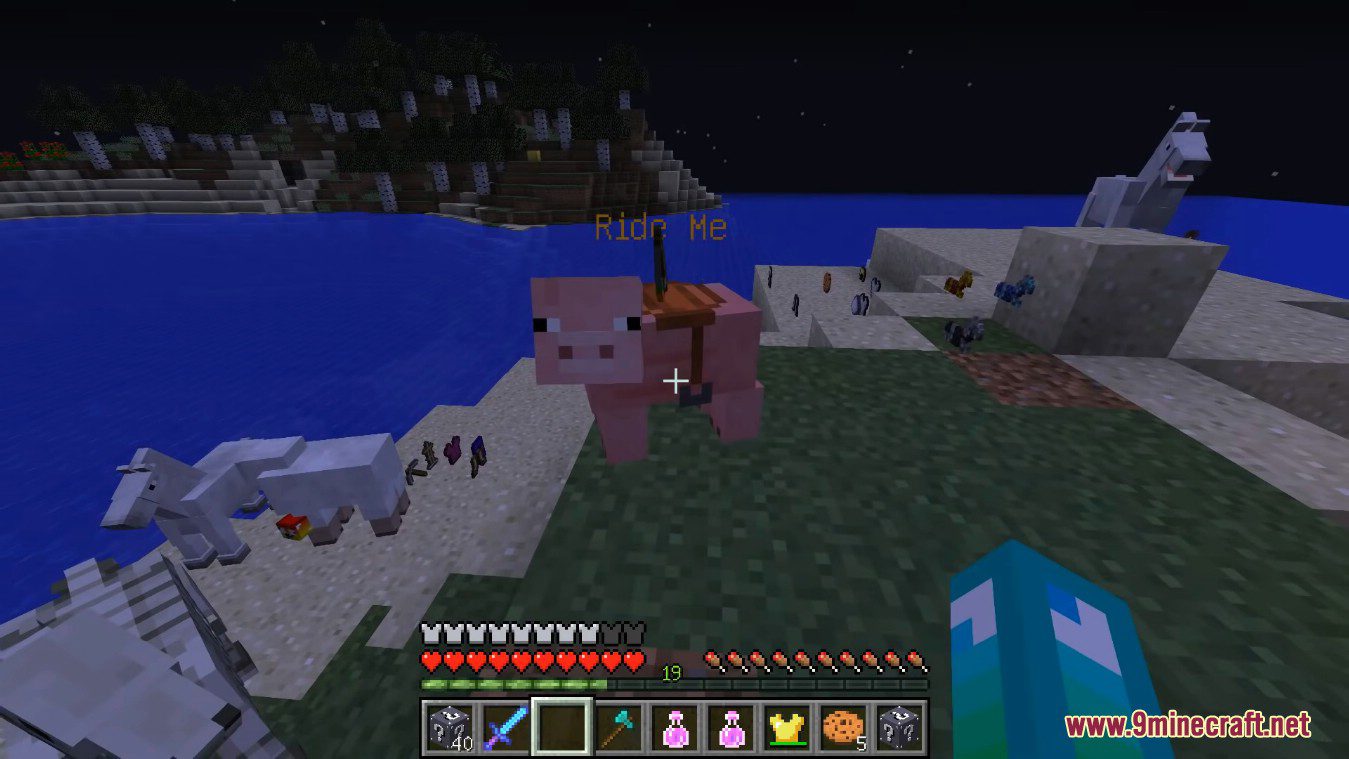 description_8 Party Lucky Block Mod (1.8.9) - Join the fun party!