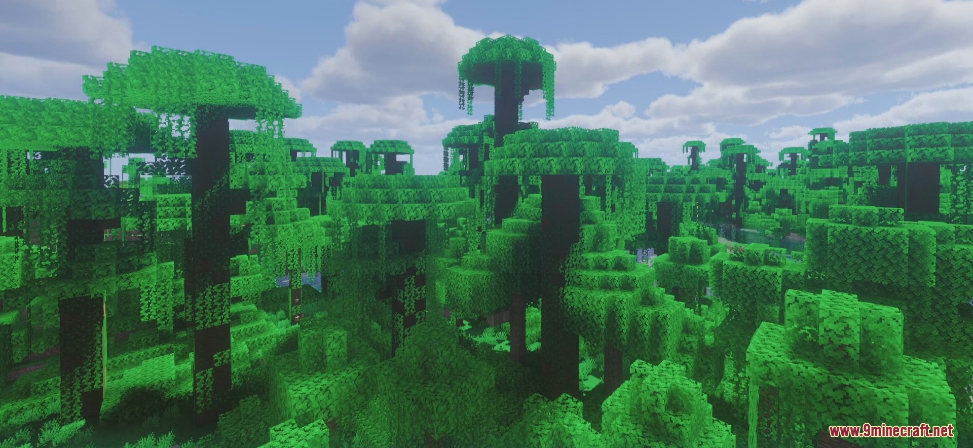 description_3 Raspberry Shaders 1.20.4 - бесплатная версия MollyVX