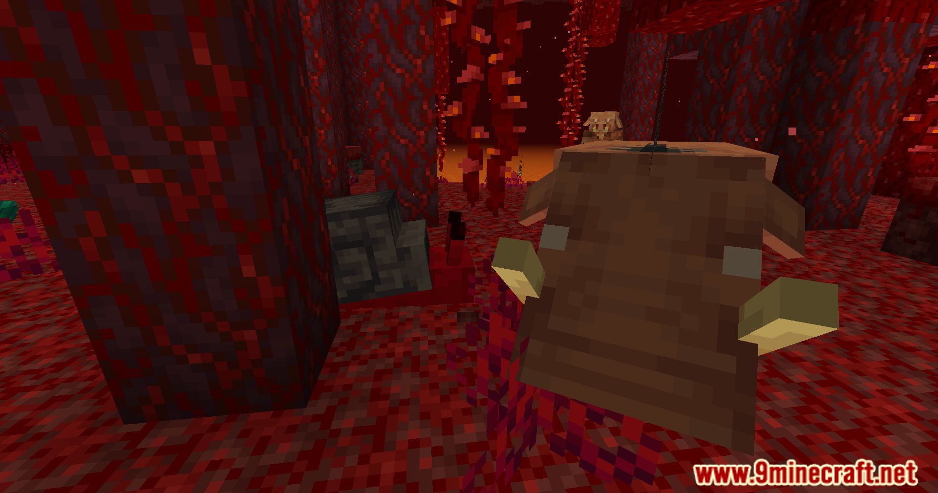 description_3 Мод Nether overhaul - высвободите существ.