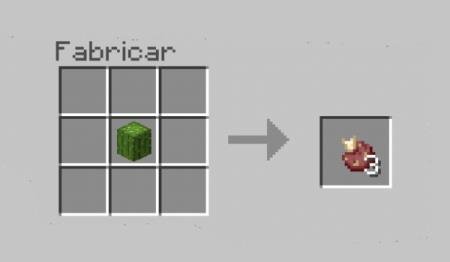 description_0 Artículos de cactus y turbas.