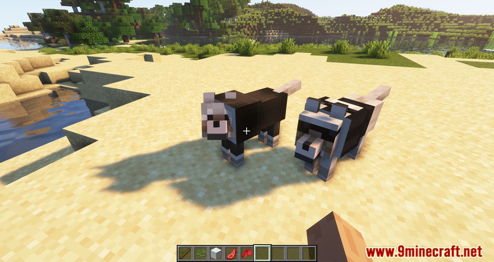 description_4 Doggy Talents Next Mod 1.20.1 - You can train your dog.