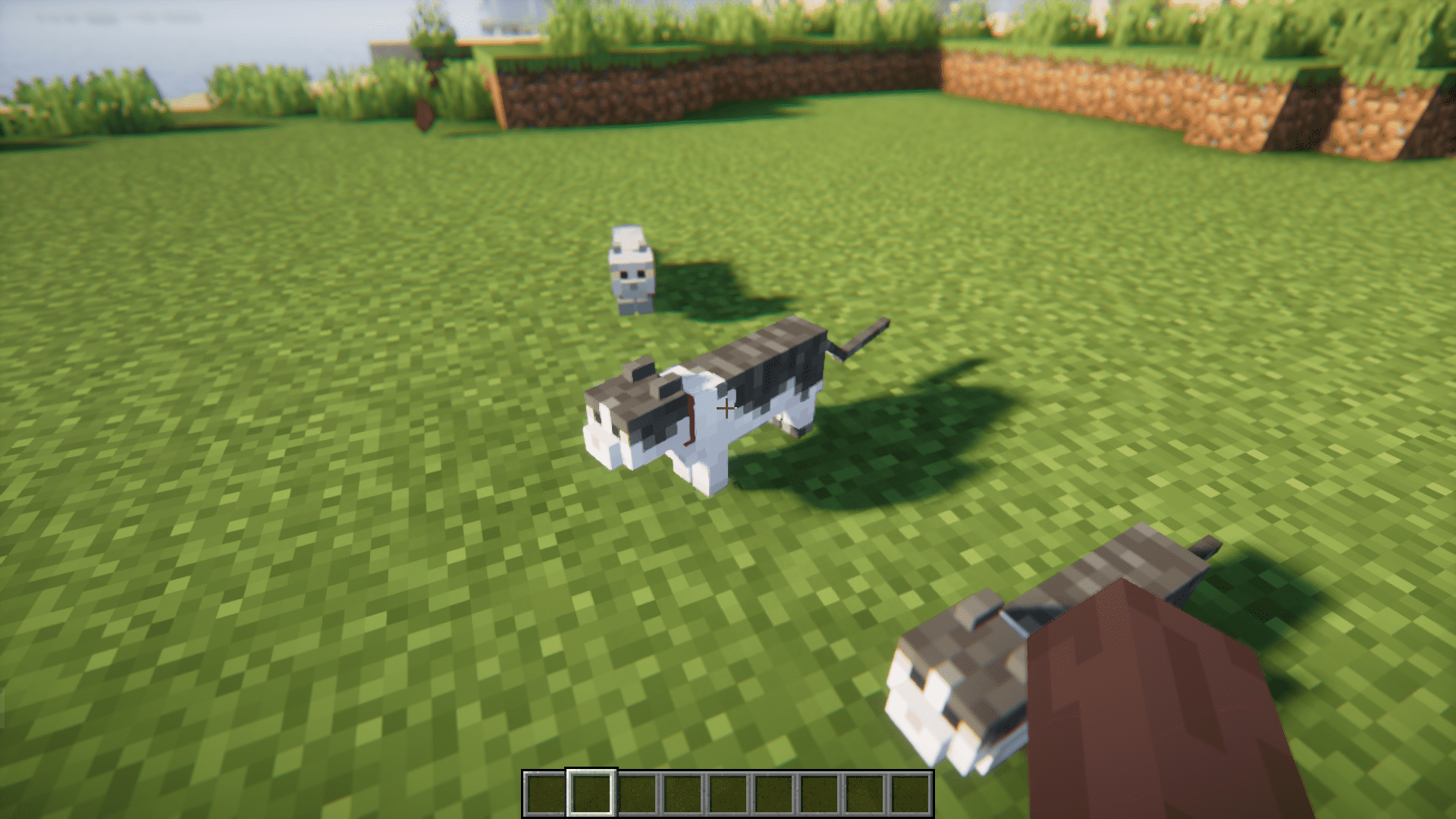 image 5 for Cat Loaf Mod (1.20.4) - домашняя кошка завернута в буханку