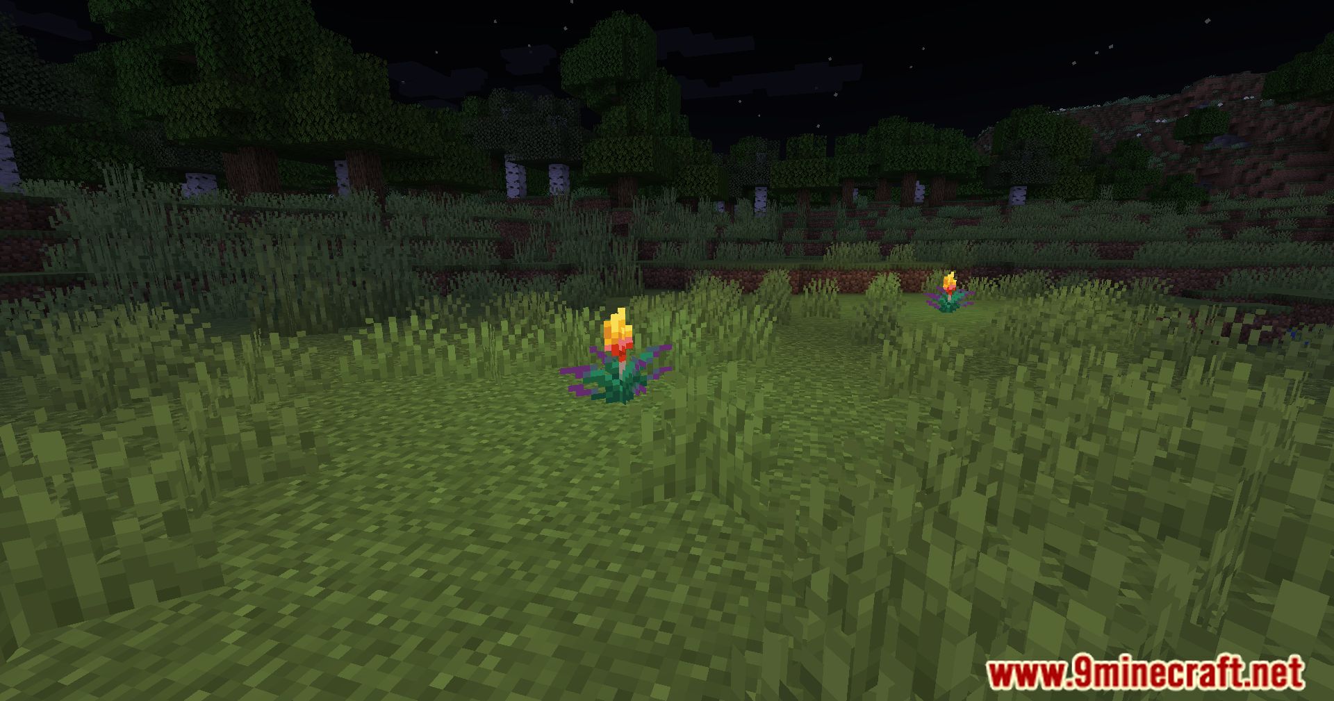 description_1 Antorcha brillante Flor Mod - Iluminación de flores