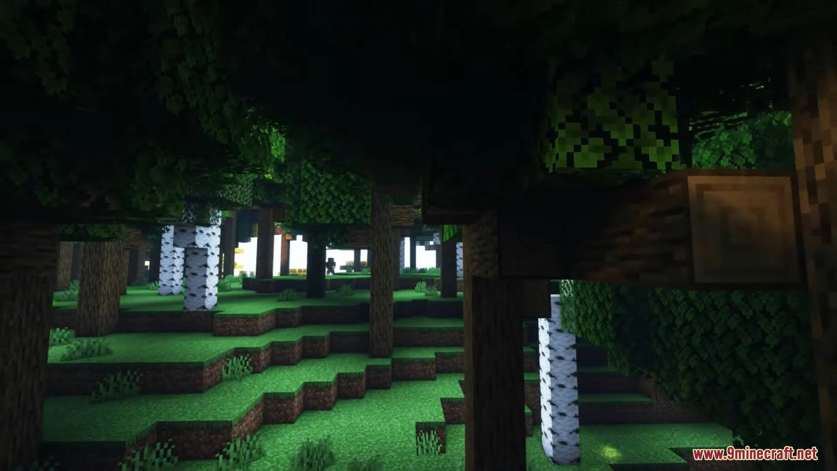 image 1 for Better Trees Mod (1.20.6) - Improves the health of trees around the world