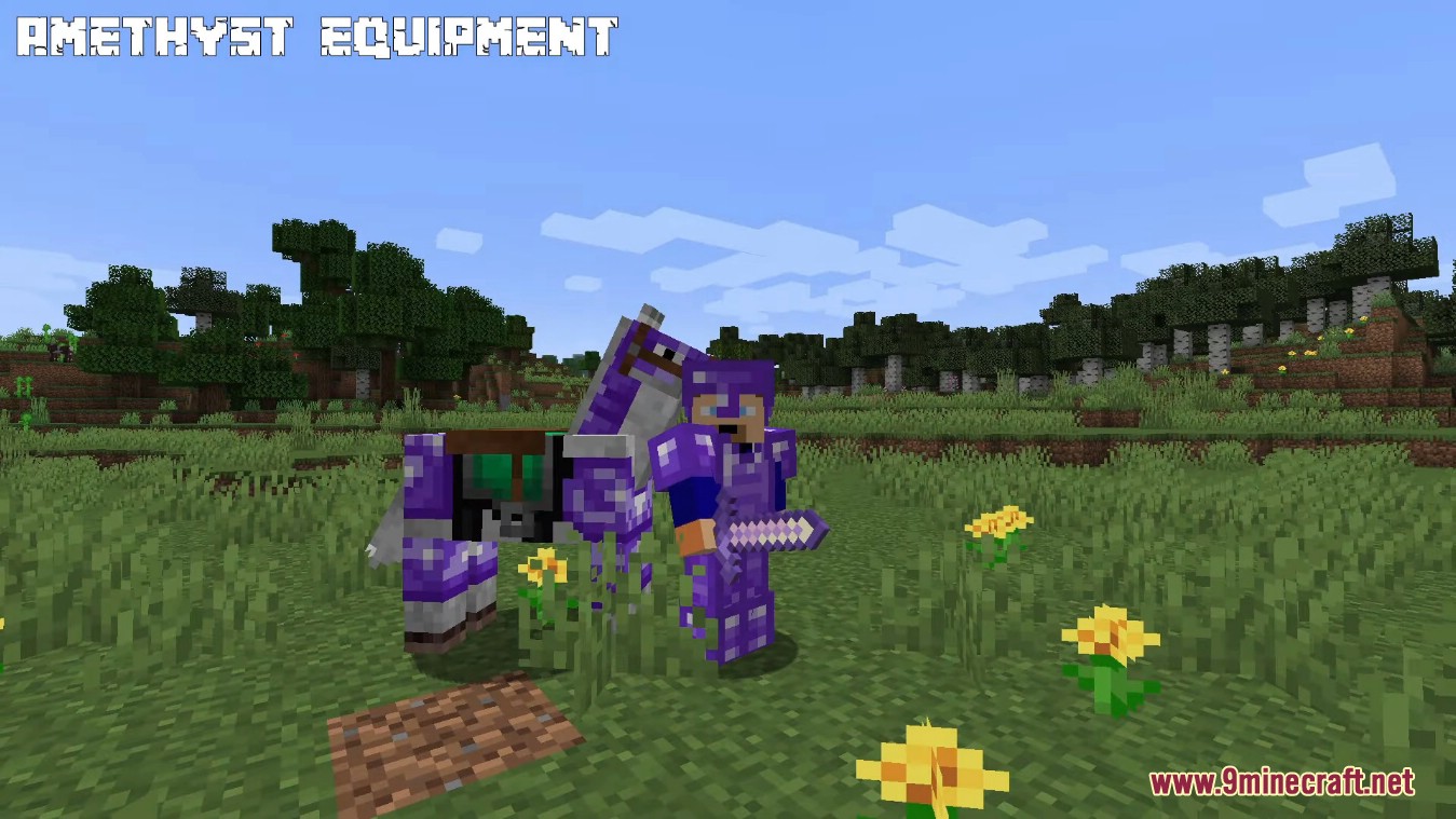 description_6 Amethyst equipment mod - Amethyst tools