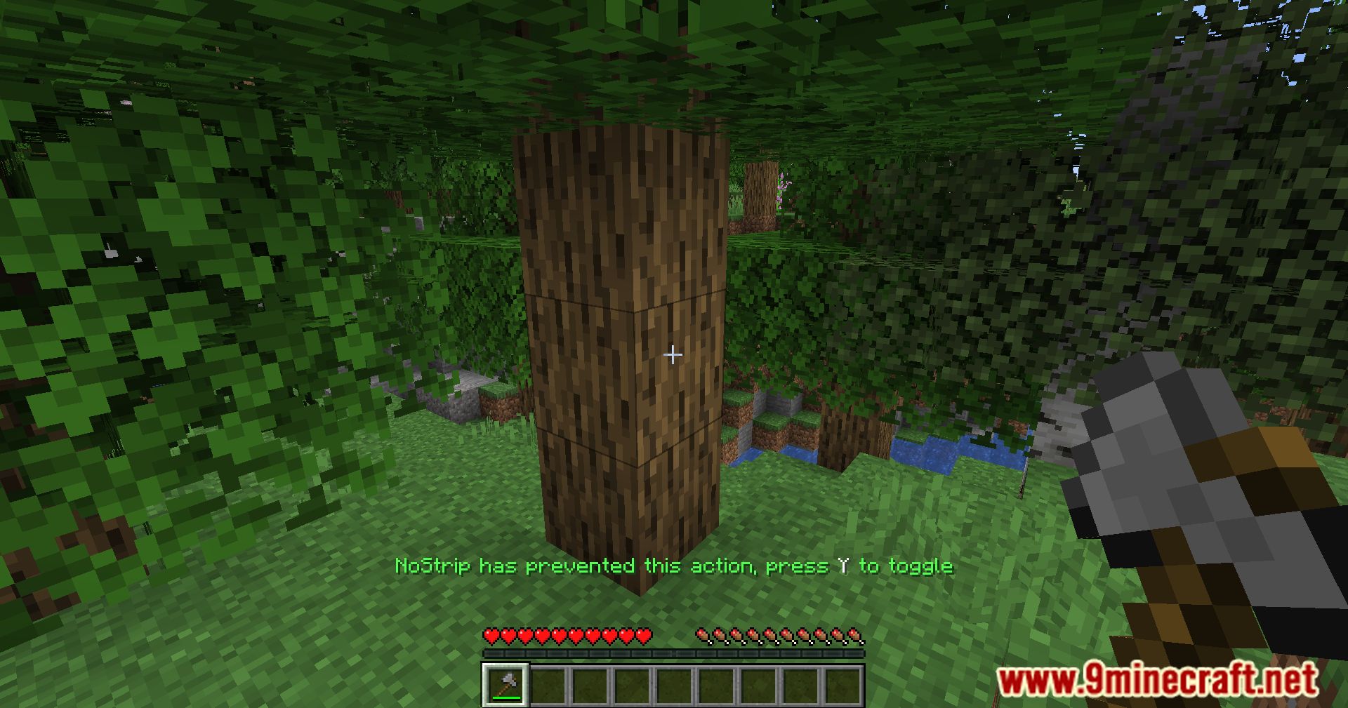 image 5 for No Strip Mod (1.20.4) - Обеспечивает естественный вид