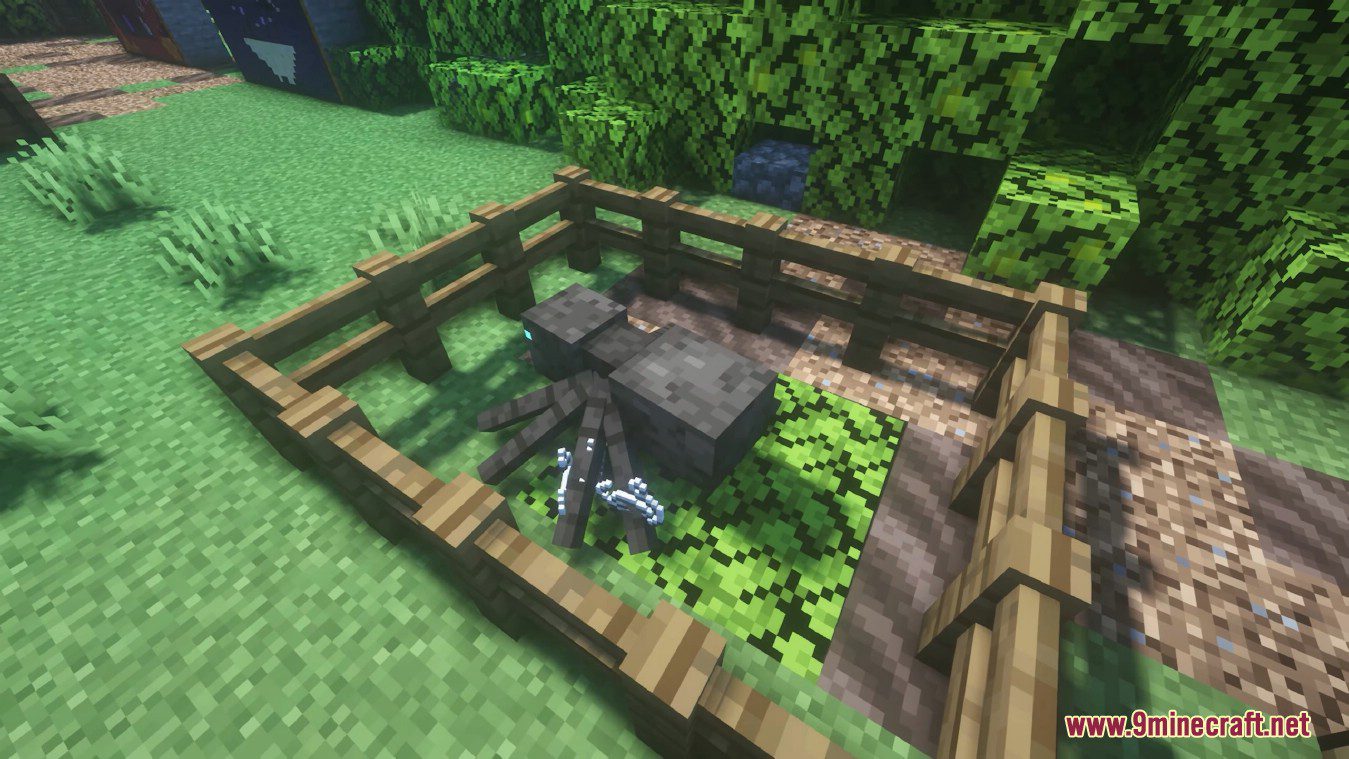 description_0 Arachnid Rancher Mod 1.19.2 - Самые милые безобидные домашние пауки