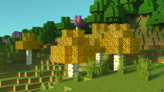 imagem 1 para