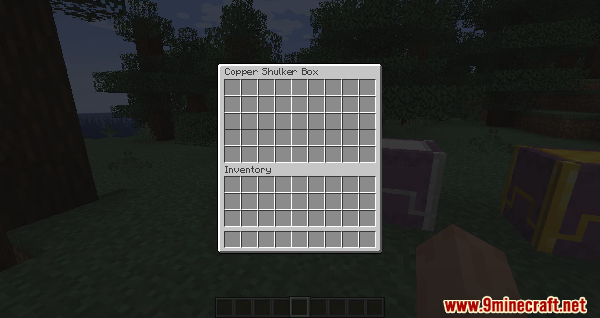  descripción_3 Mod