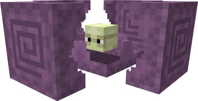 description_8 Edge update 2.