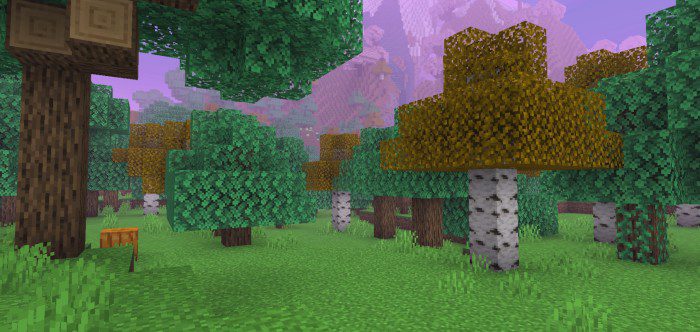 image 3 for Расширенные графические шейдеры HyRD (1.20, 1.19) - RenderDragon