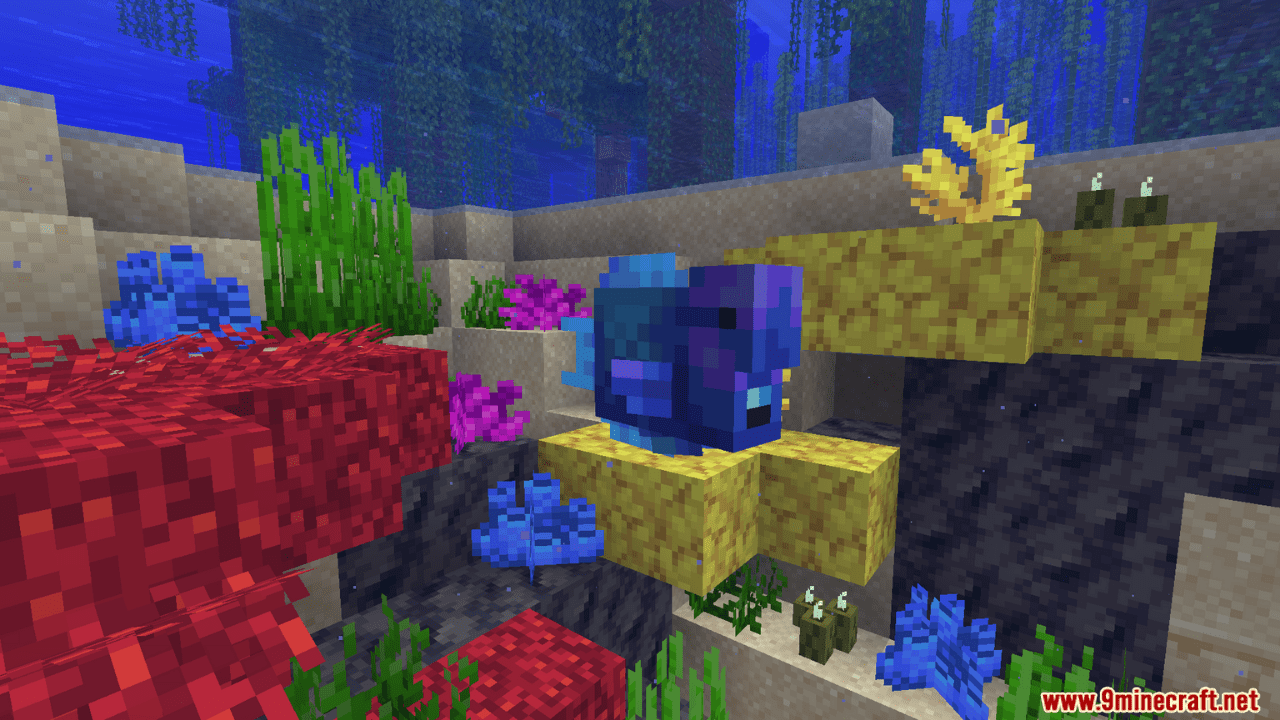 description_5 Rainbow Reef Mod (1.20.1) - 79+ dazzling fish