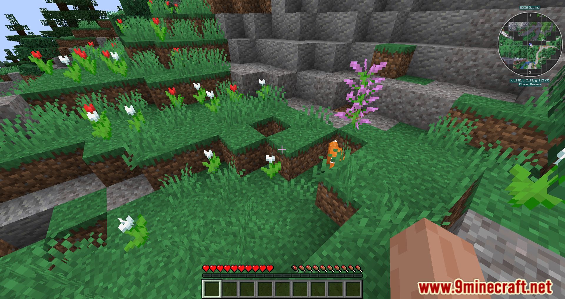 description_5 Kingdoms Of The Valley Modpack (1.16.5) - Постройте свою собственную цивилизацию!