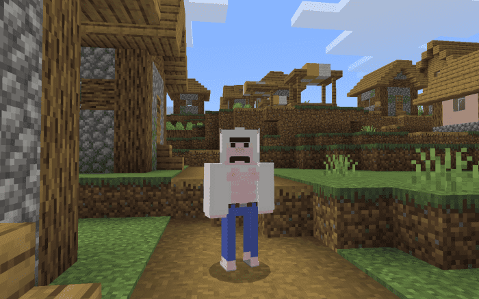 image 24 for Conjunto de vestuario para el espectáculo regular (1.19) - MCPE/Bedrock