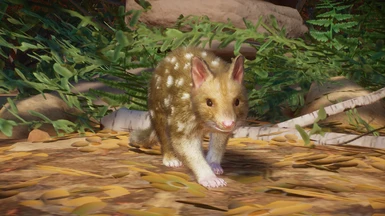 image 4 for 