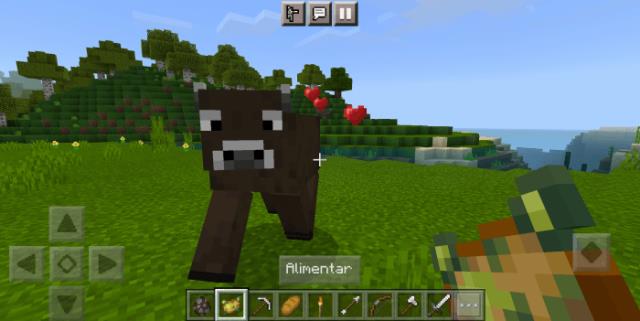 description_1 Быки.