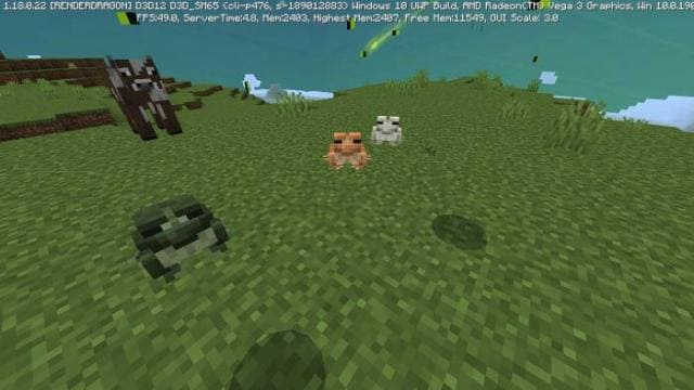 description_0 Frogs.