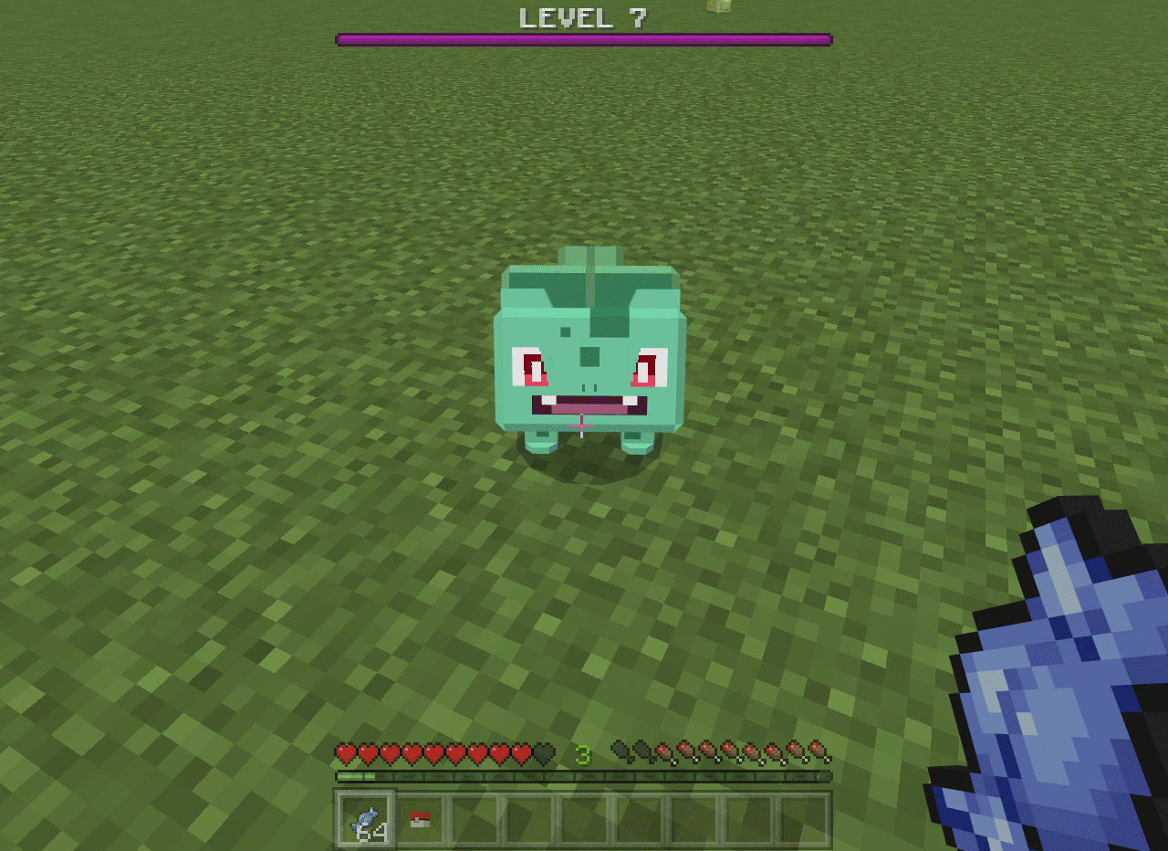 description_38 Pokecraft.