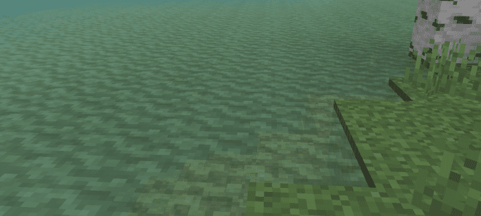 image 9 for Jackfruit BD Shader (1.20, 1.19) - RenderDragon Support