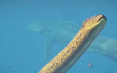  image 3 for