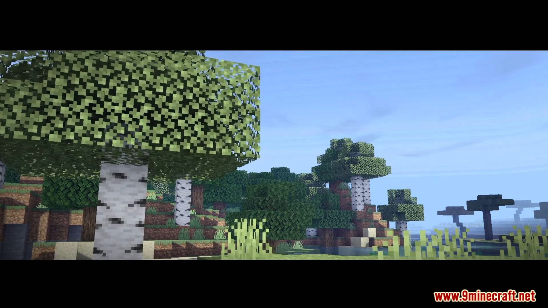image 5 for Continuum Shader (1.19) - supports dragon rendering.