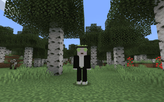 image 15 for Conjunto de vestuario para el espectáculo regular (1.19) - MCPE/Bedrock