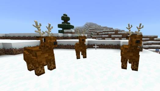 description_2 New Year's survival.