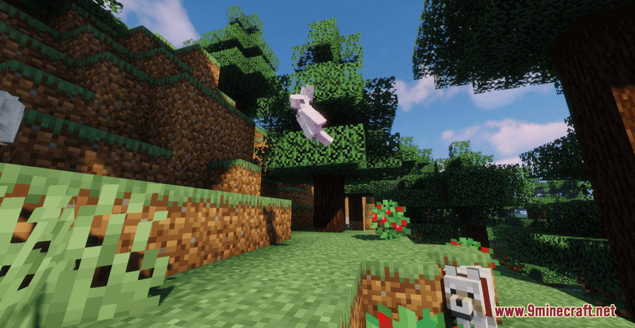 description_4 Aesthetic Birds Resource Pack (1.19.4, 1.19.2, 1.19) - текстурный пакет