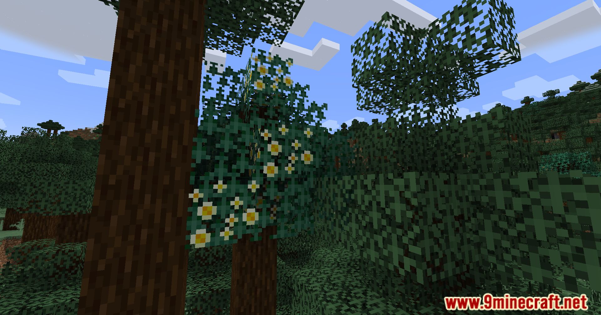 description_4 Fruits Delight Mod (1.20.1) - Enjoy a fruit feast!