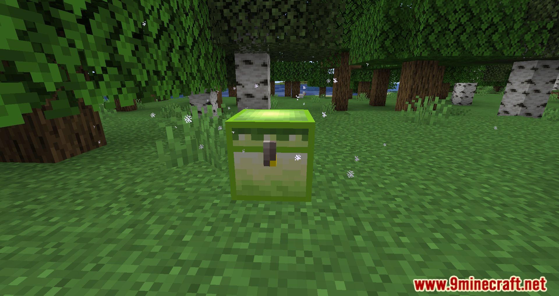 description_6 Wunderreich Mod 1.20.1 - симфония новых механик и инструментов