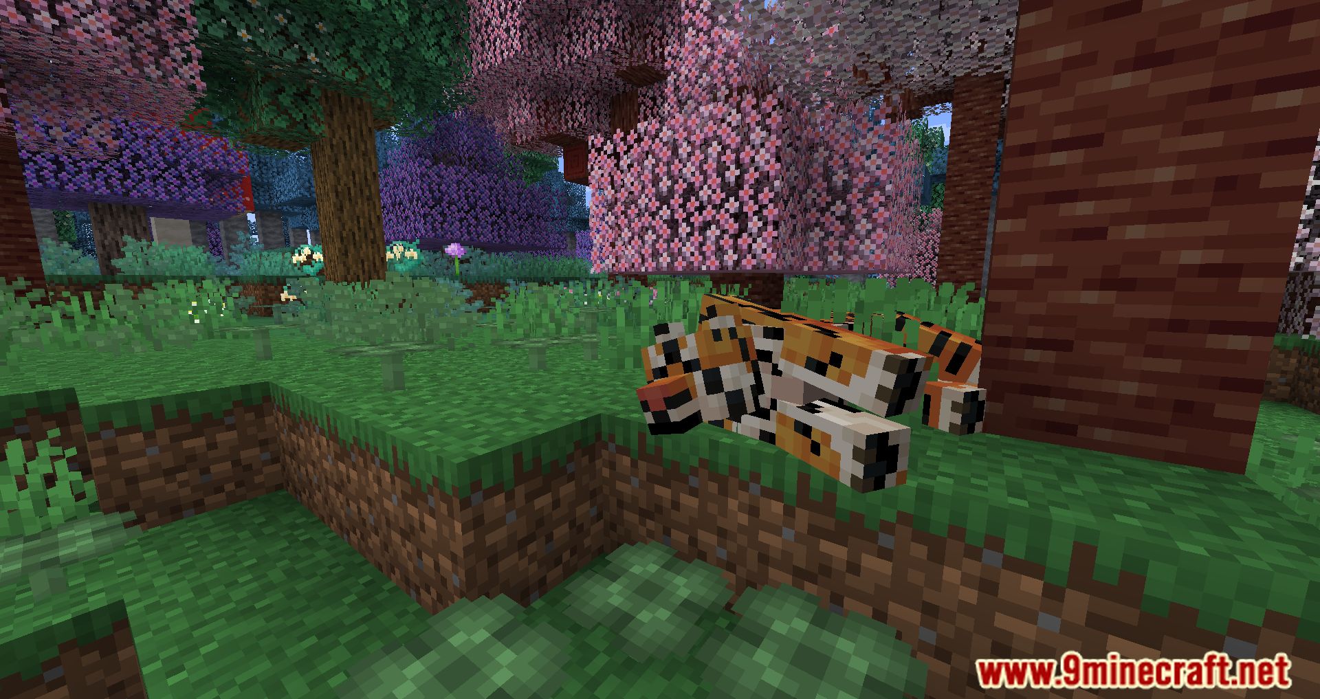 description_10 Mod Pack ligeramente aromatizado - Escucha el viento y la aventura.