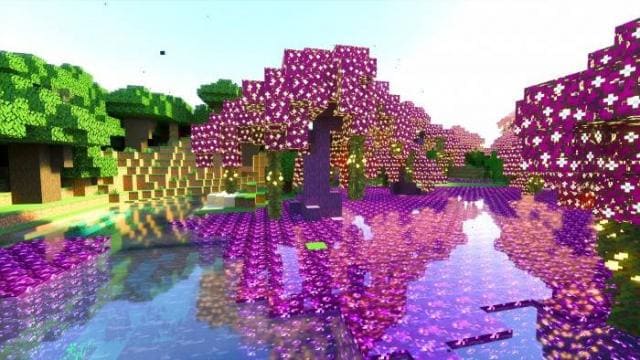 description_51 The most beautiful biomes.