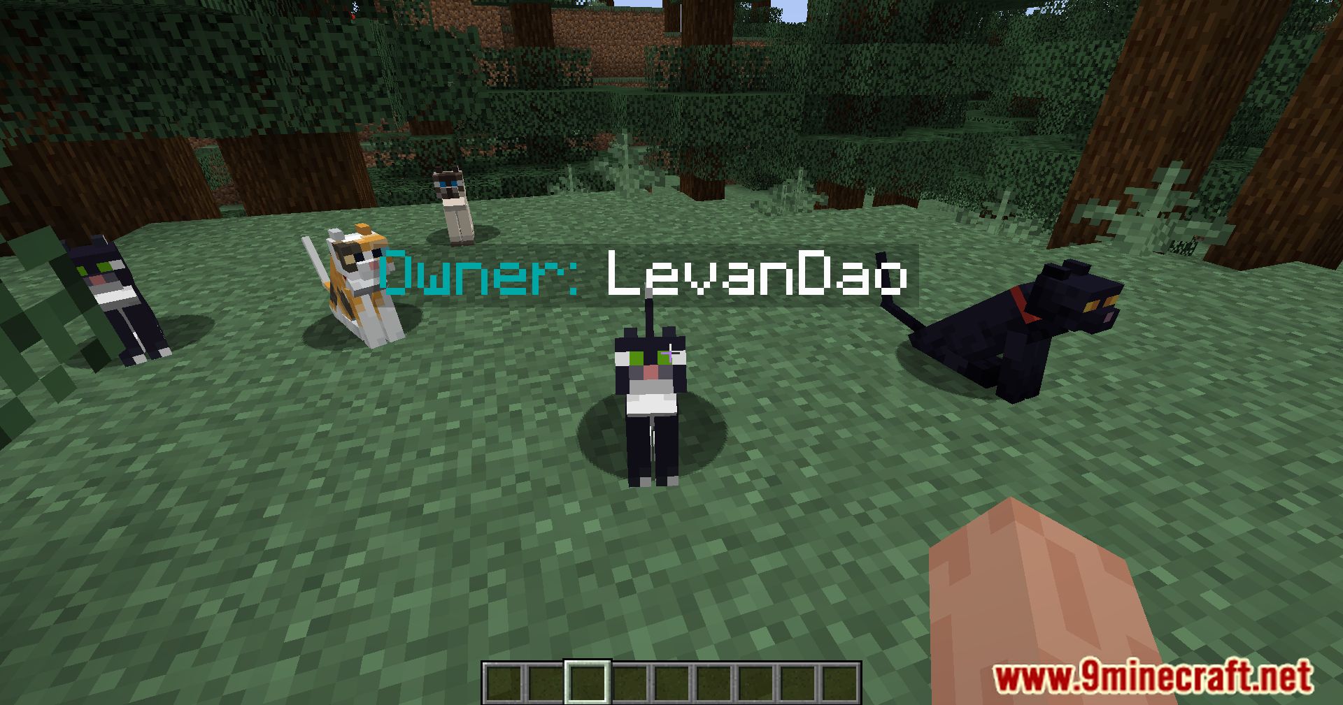 description_4 Pet Owner Mod 1.20.4 - identificar a los dueños de mascotas de un vistazo