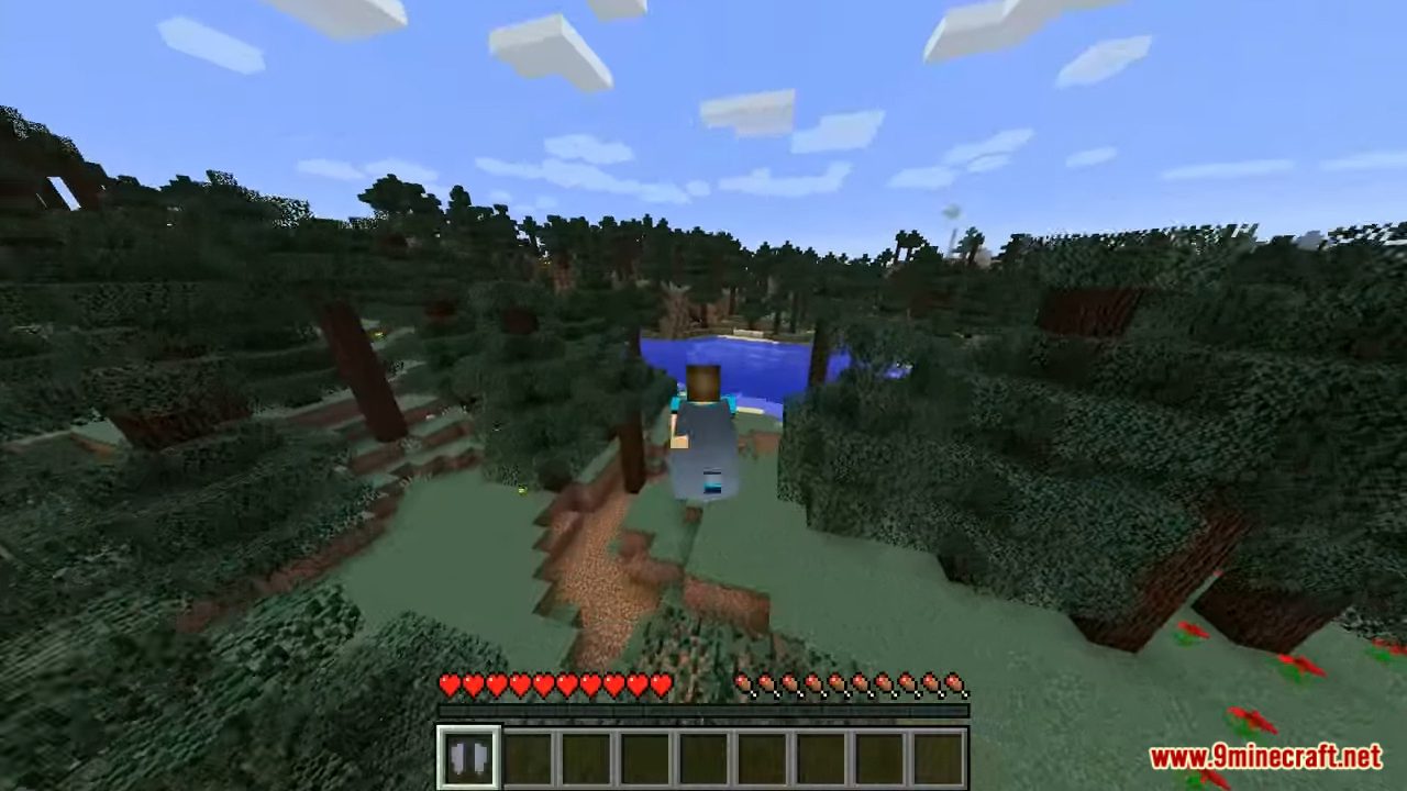 description_8 Craftable Elytra Data Pack (1.19.4, 1.19.2) - create your own elytra!