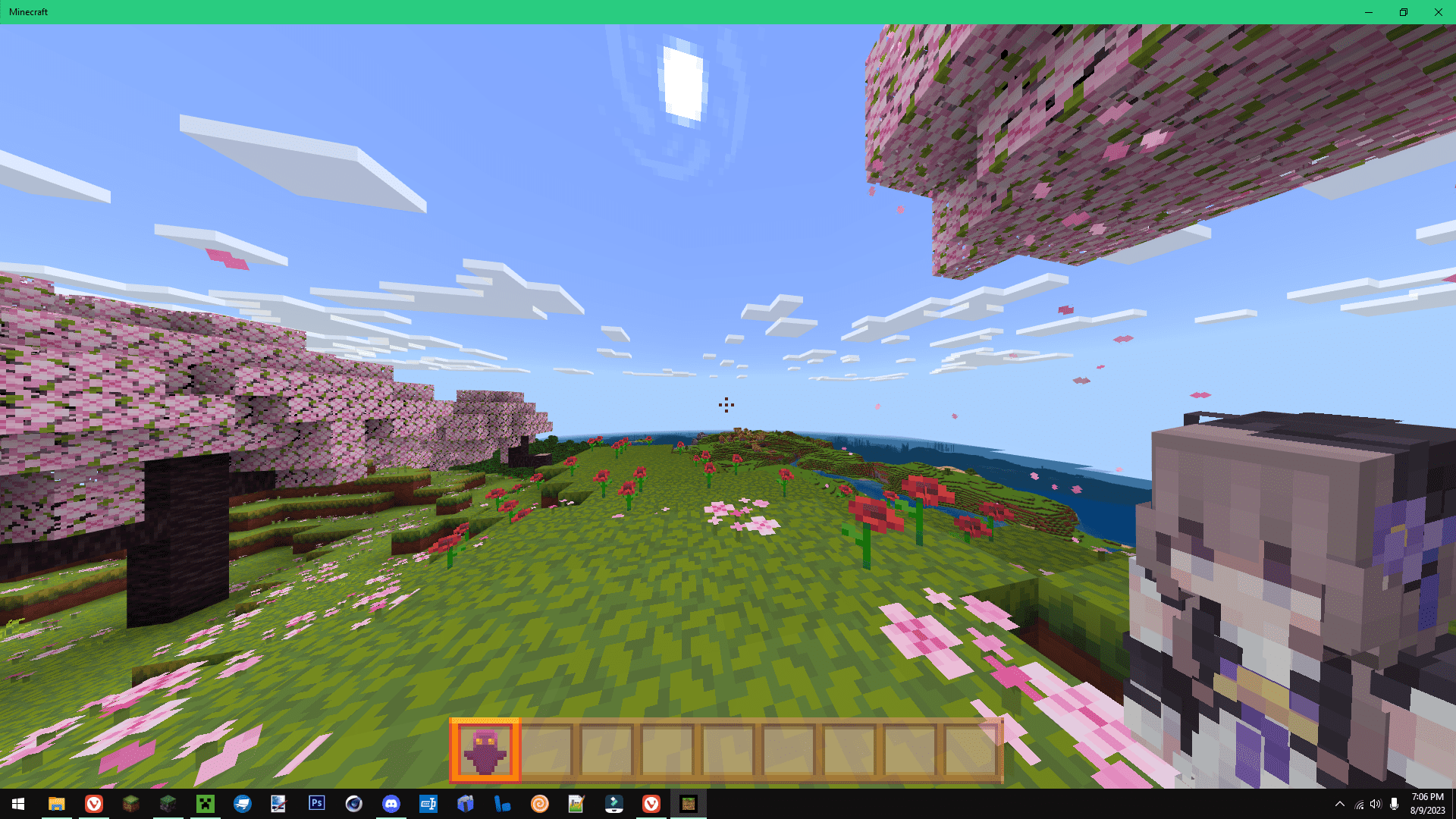 image 5 for Плагин HSR Персонаж Тотем (1.20) — мод MCPE/Bedrock