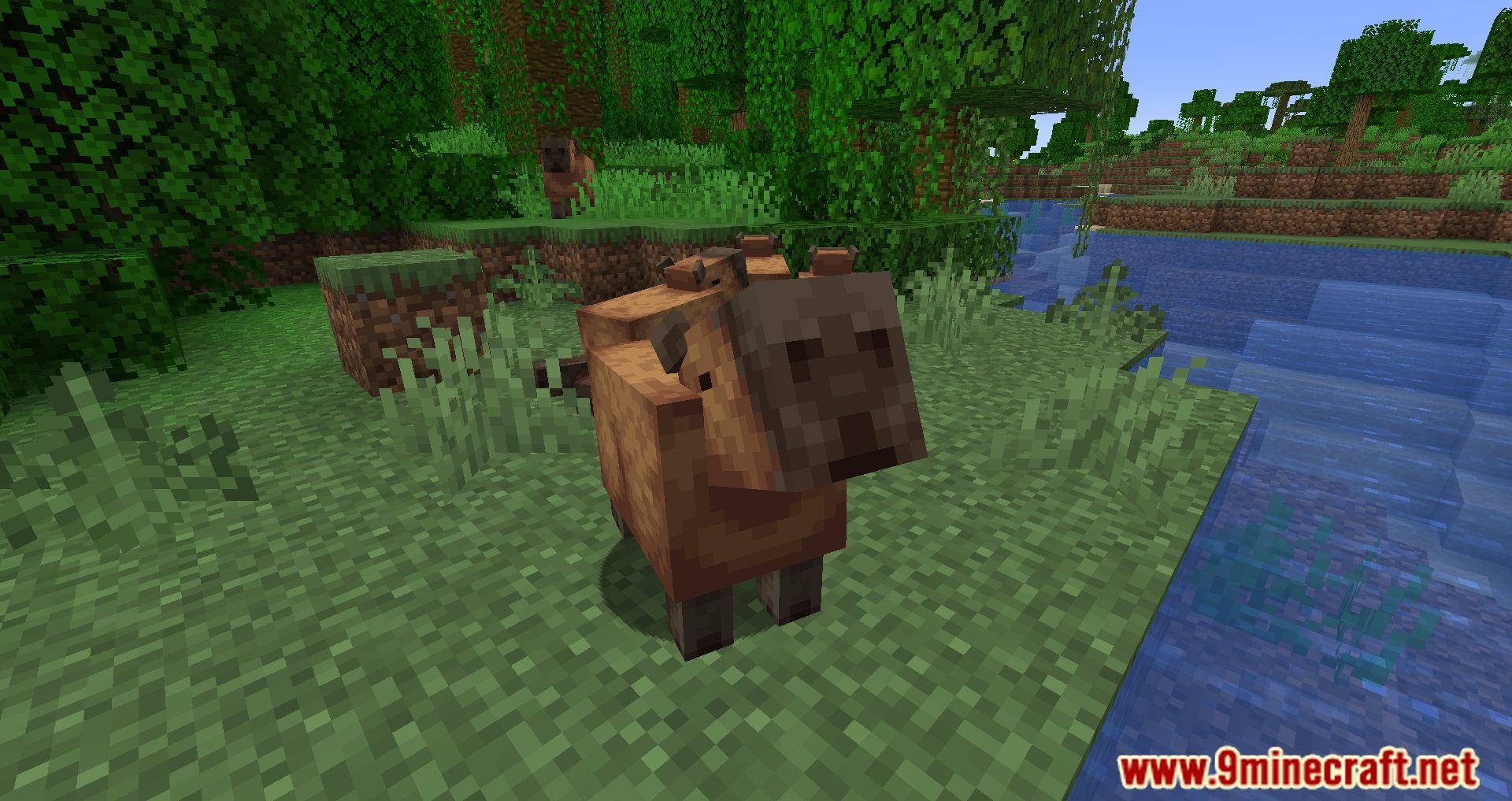 description_4 Capybara Mod 1.20.2 - Новые существа в джунглях