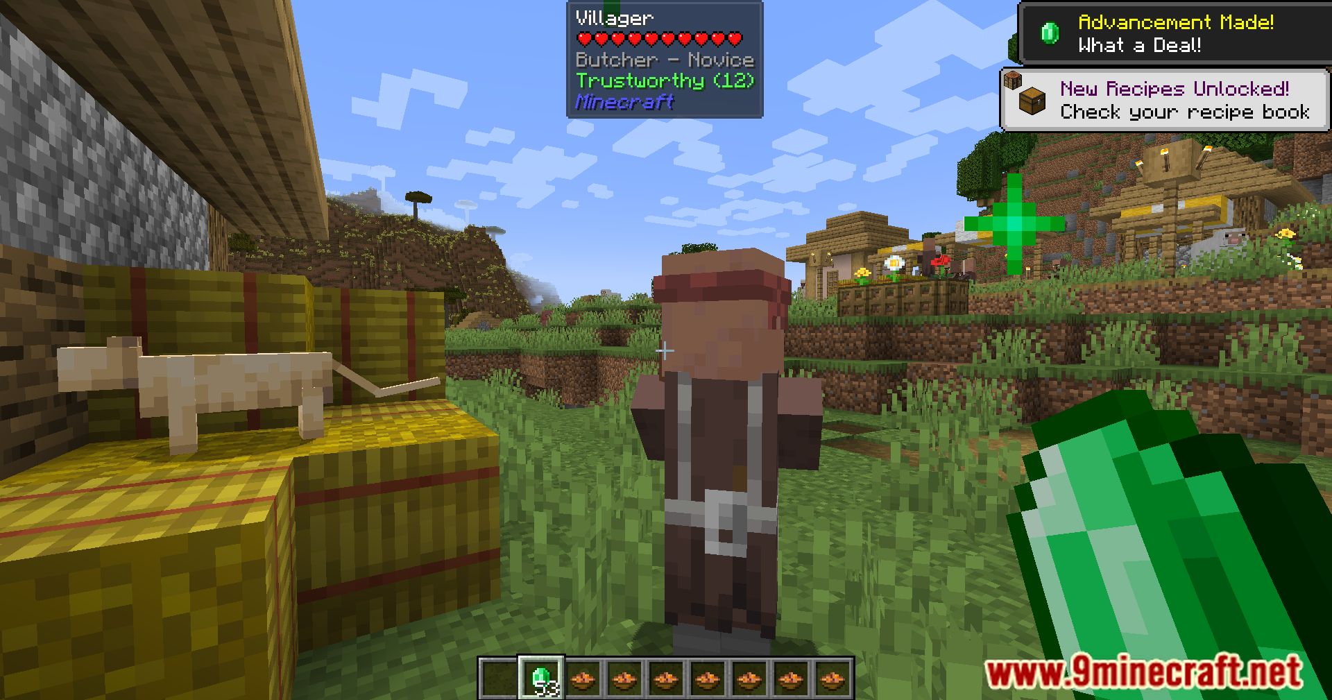 description_3 Мод Your Reputation Mod 1.20.4 - Улучшенные отношения между жителями деревень