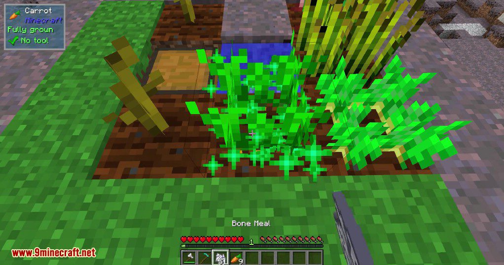 description_3 Fertilization Mod - Additional Bone Meal Options