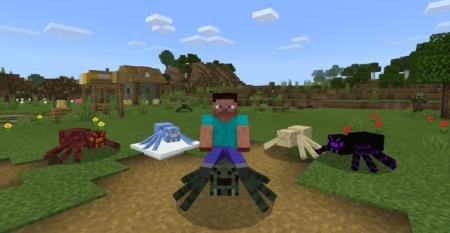 description_0 Riding on spiders.