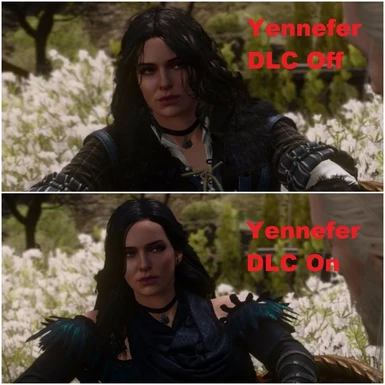 description_0 Improved Yennefer.